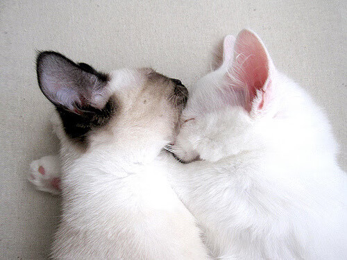 史上最年轻“冠军射手”崭露锋芒!,最年轻的s赛冠军