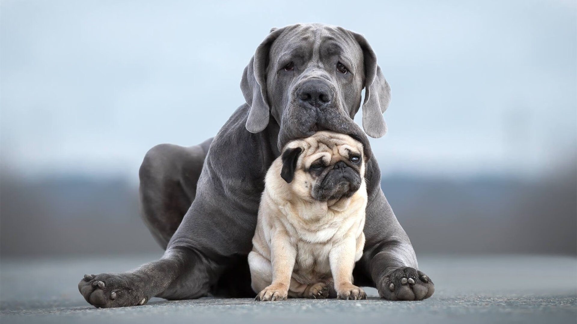 基层青训项目全面铺开，乡村少年足球热潮涌动，青少年足球青训方案