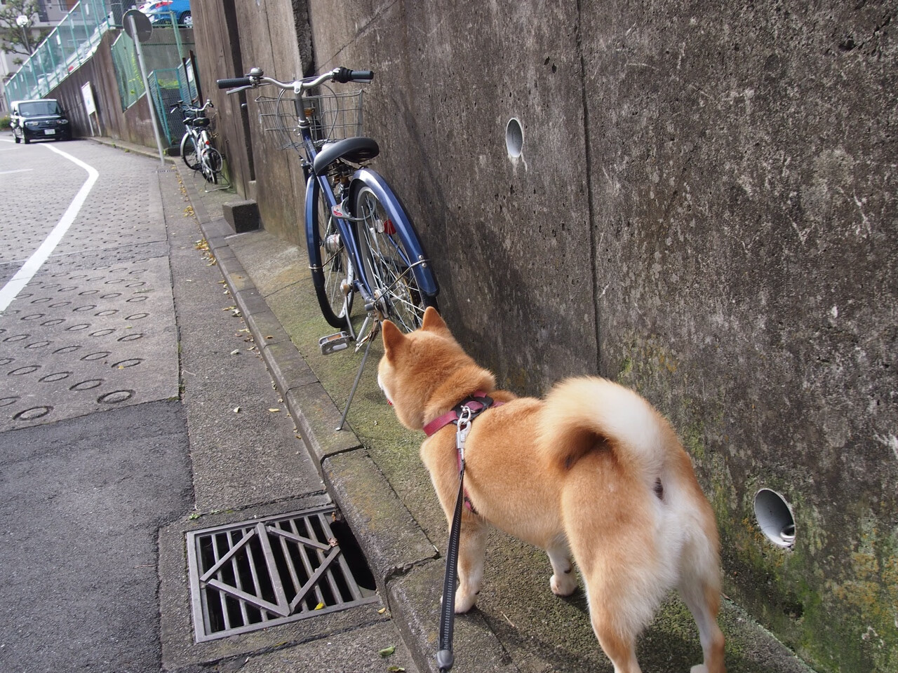 kaiyun.com-_跨界运动演绎：体育与戏剧的精彩融合_，体育跨越