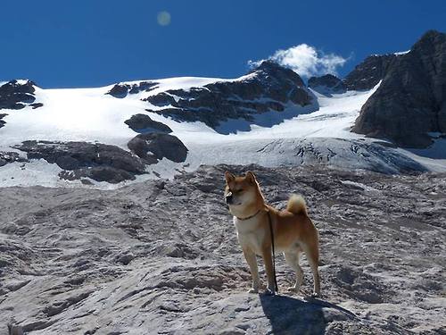 决赛MVP：阿根廷新星一战封神，阿根廷决赛魔咒